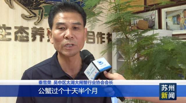 太湖大闸蟹开捕上市 价格与去年基本持平