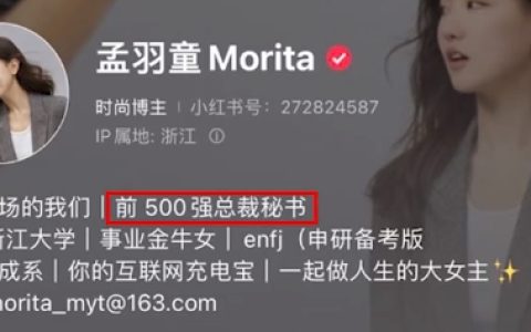 孟羽童个人简介是前500强董事长秘书 此前遭董明珠怒斥