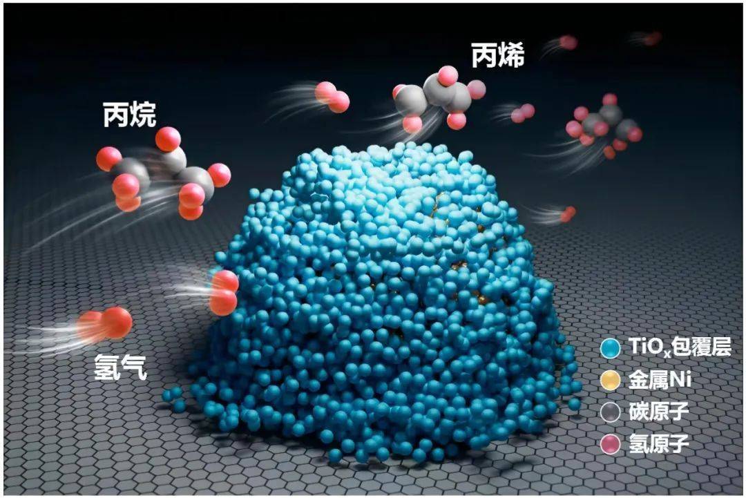 登上《科学》封面！我国取得突破性研究成果