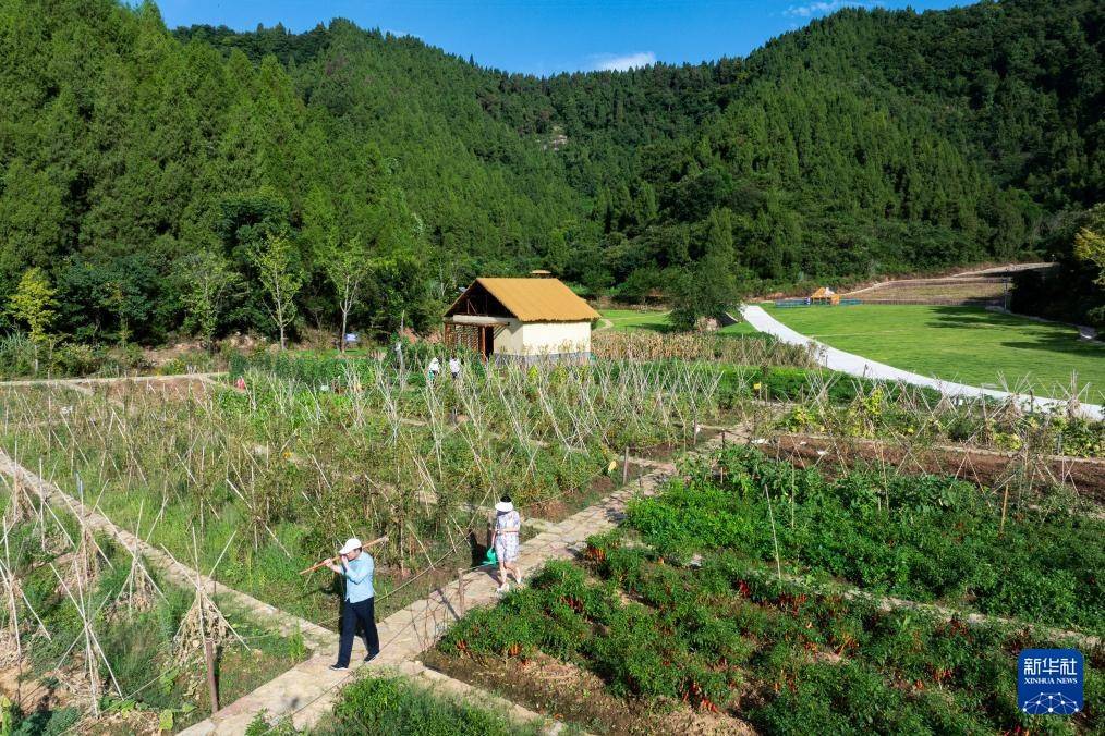 湖北宜昌：暑期“清凉消费”点燃文旅“热经济”