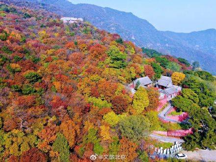 北京已进入赏秋最佳时节