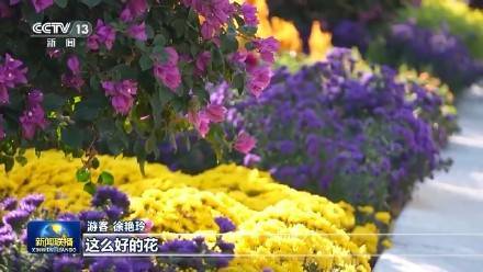 出门就是公园 北京正通过花园城市建设让市民“出门见绿”