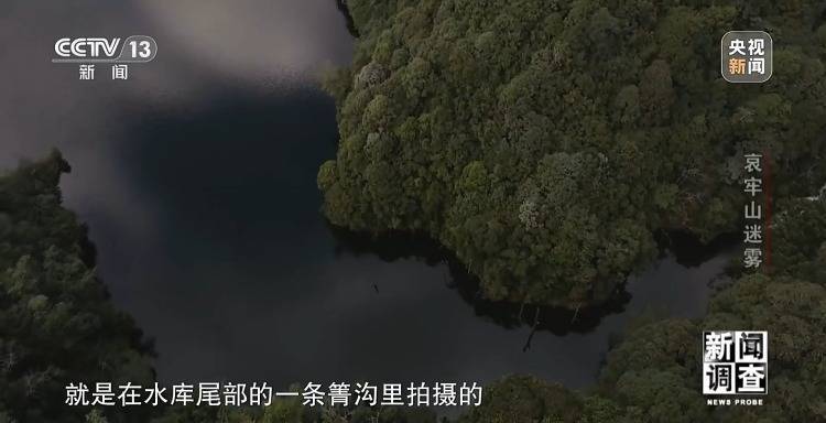 想你的风吹到了哀牢山 这是一座怎样的山？