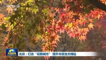 出门就是公园 北京正通过花园城市建设让市民“出门见绿”