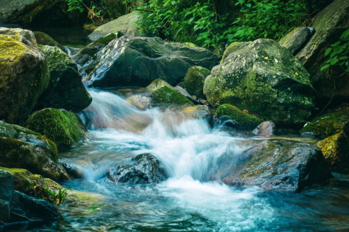 陇南康县以陇山十九泉，实现生态跃迁“点水成金”