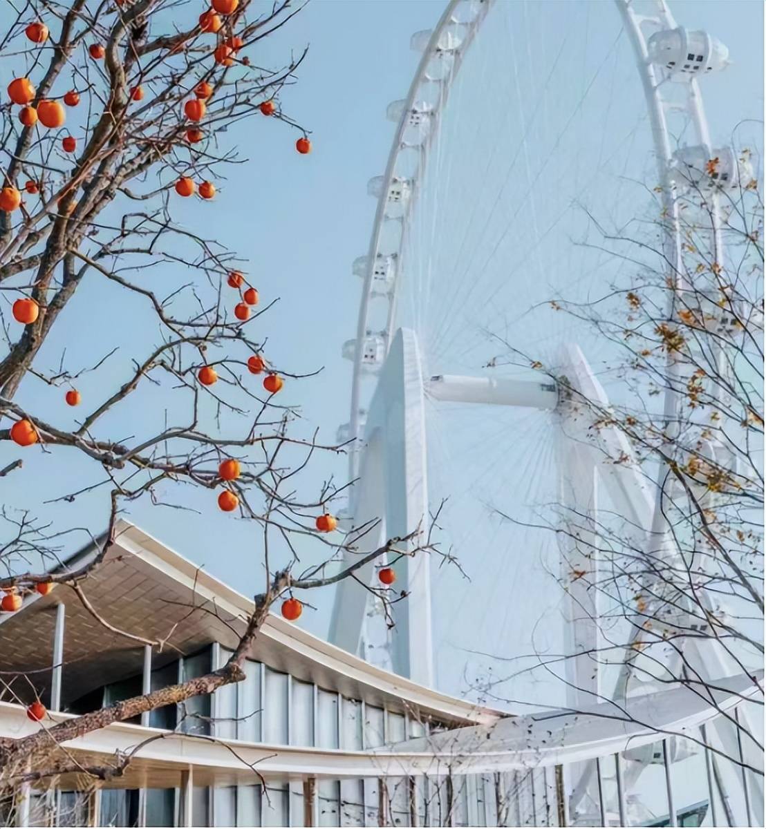 正是园区好风景，苏州硬核商圈闪耀金鸡湖