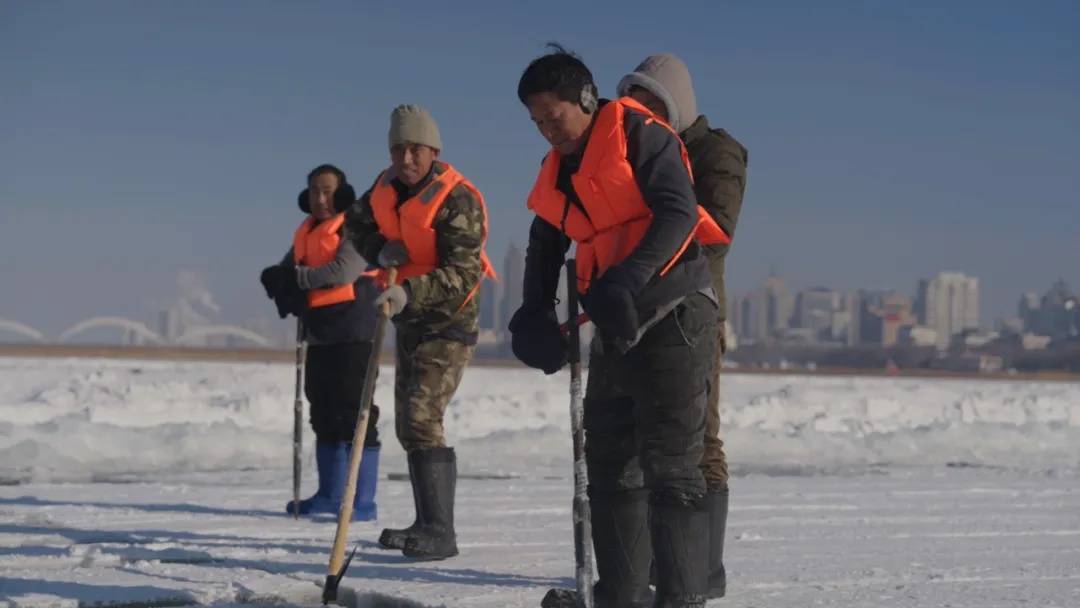 松花江上采冰忙 哈尔滨冰雪大世界开采存冰 备战下个冰雪季