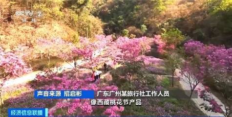 节后“错峰出游”成新趋势，你跟上了吗？