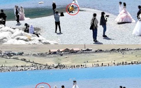 赛里木湖景区有商拍人员多次拿石子砸天鹅？景区回应：查实会将其拉入黑名单