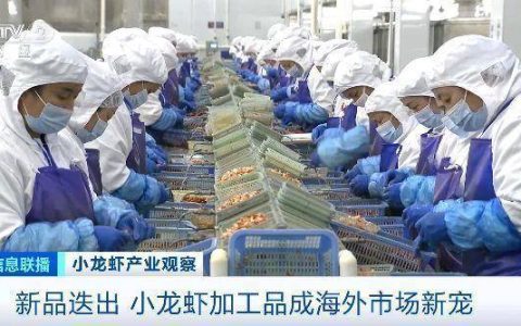 旺季来临销量明显增加 小龙虾加工品成海外市场新宠