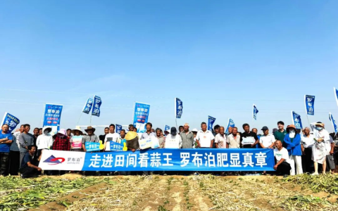 丰收有“蒜”法，致富新“钾”持，国投罗钾擎起杞县大蒜产业新高度