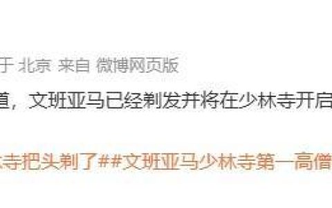 2米26的NBA球星文班亚马剃发修行10天？少林寺回应