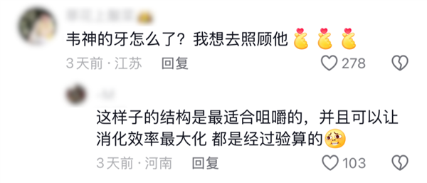 3句话涨粉2300万 韦东奕的抖音评论区 成了中国人的许愿池