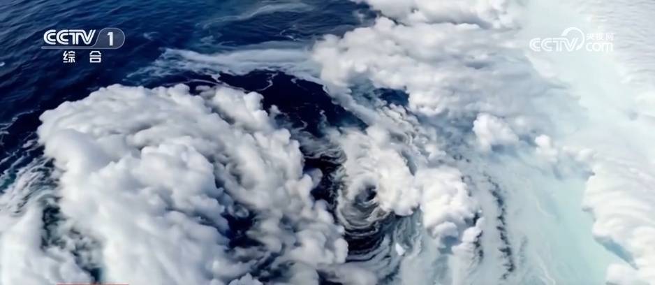 如何應對超強台風？這份指南請查收→