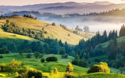 舒华体育V10+ AI跑步大师震撼上市，开启AI智跑新时代