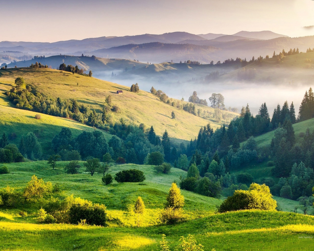 雅兰×小红书IP 《边生活边艺术》：打造睡眠艺术新体验