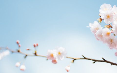 预计全国流感在12月上中旬达峰的可能性较大