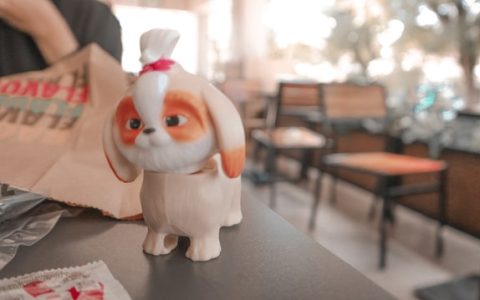 南平延平王台法庭“护农普法队”下沉田间地头，守护秋收与养殖经营