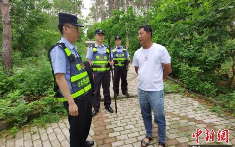 黑龙江抚远：3只黑熊“组团”出游 上演真实版“熊出没”