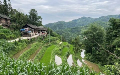 高力国际携手凯龙瑞公益贵州助学探访