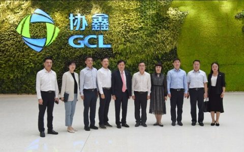 闵行区委书记陈宇剑带队调研协鑫集团