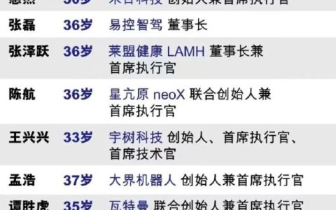 2023年《财富》中国40位40岁以下的商界精英