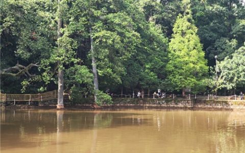 华东理工大学三下乡社会实践活动——黑龙潭公园生态多样性调研助力魅力城市建设