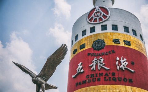 国际友谊日：五粮液以酒为媒，祝世界和美与共