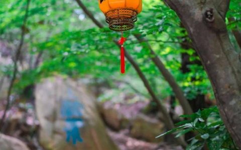 一觉醒来，已经立秋了！