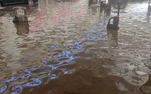 中图网最新发声称“正努力自救”！承诺不会上架销售泡水书