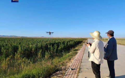 国家电网向甘肃6市州支援239台植保无人机助力抗旱减灾