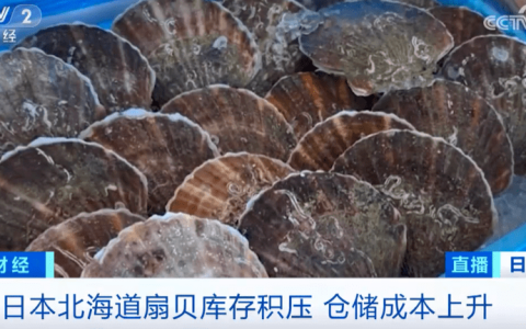 日本第二轮核污染水排海即将启动！总量预计在7800吨左右…