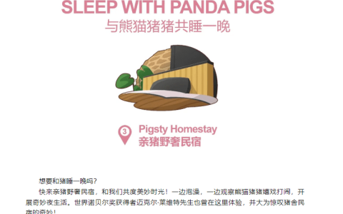 网传金华一地推出“猪景房”，住一晚价格高达8888元，工作人员回应