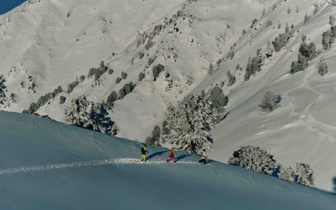 山雪所向 便是自由：2023始祖鸟雪季纪录片《山雪之道》正式发布