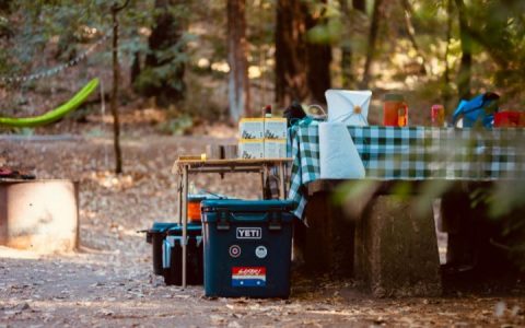 金湾饮品：旅行出游相伴，健康加倍，美味加分