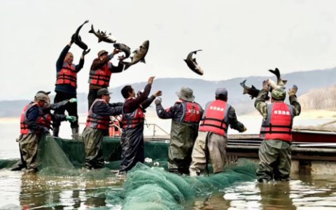 吉林市第十五届开江鱼美食节旅游季27日开启