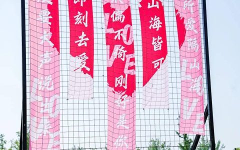 “缘聚苏州，情定今生”2024苏州市第二届千人相亲交友大会成功举办