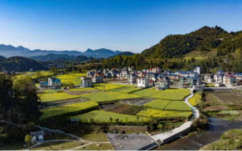 春和景明 橙香富贵——德秀共绘美丽乡村新画卷