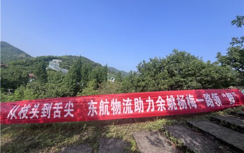 东航物流：日运杨梅30吨，佳果出山“飞来鲜”