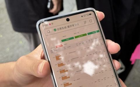 高考志愿规划师、AI志愿指导……高考后的这门新生意你怎么看？
