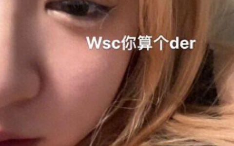 王思聪回应有私生女：假的，一切都不存在