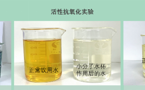 水杯界的“活力28”，诺象用十五年做一只杯子