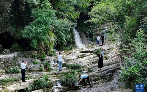 湖北宜昌：暑期“清凉消费”点燃文旅“热经济”