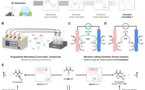 祝贺！我国在这一领域，取得新突破