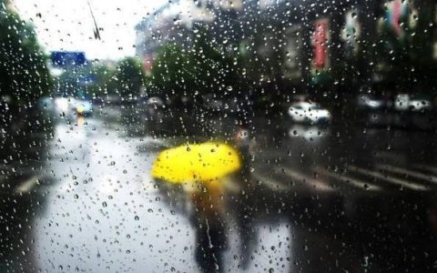 雷阵雨+中到大雨+局部暴雨！济南最新预报来了！