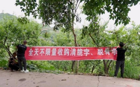 新电商，如何“潮”出屏幕“焕”活市场？