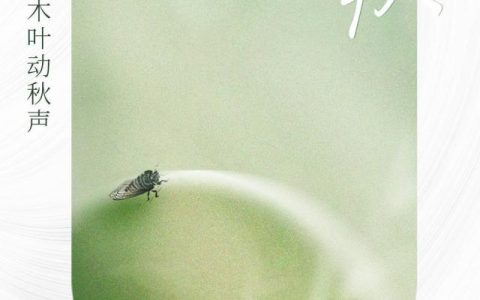 今日立秋！武汉市气象台发布高温红色预警