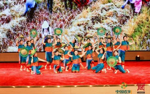 新质生产力赋能农服，冠县奏响丰收强音