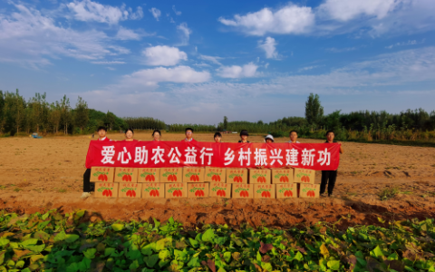 中建八局华中公司中原分公司开展“助农秋收”志愿服务活动