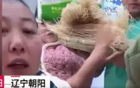 厂家承认东北雨姐带货红薯粉条掺木薯